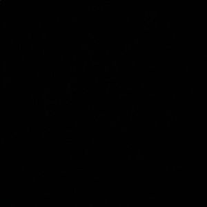 Meet your Posher, Nicolas